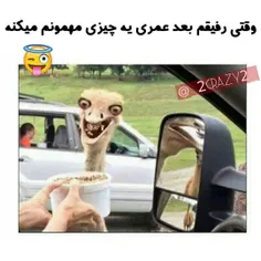 #طنز#ویسگون