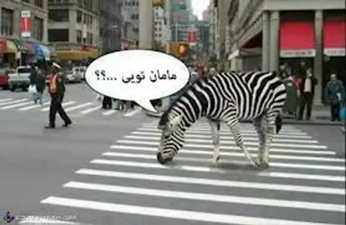 اخی بیچاره...