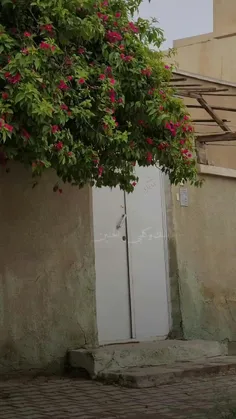 #من همان #دختر بی حوصله #غم_زدم ام دختری که ر گ خوابش #حر