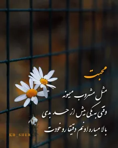 #عکس_نوشته_ناب