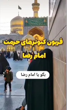 #لطفا_باز_نشر_کنید🙏 