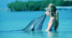 جنس نر دلفین ها برای اینکه سکس داشته باشند دلفین ماده رو 