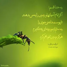 #امام_علی_علیه_السلام