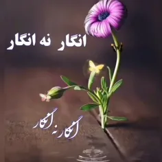 انگار+نه+انگار...+