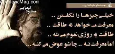 آقای محترم.... به عشقت از سر مهربونی نگو توله سگ...!