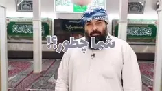 قسمت هفتم از مجموعه *منم دزدم، شما چطور.؟!*