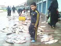 شایان ورور بازار ماهی