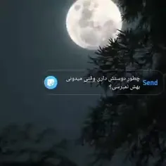 جـ‌نده هایی در قالب مریم مقدس🕸🕷⛓️