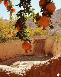 عهد کردم که به غم فرصت جولان