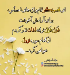 #بهزادشهریاری