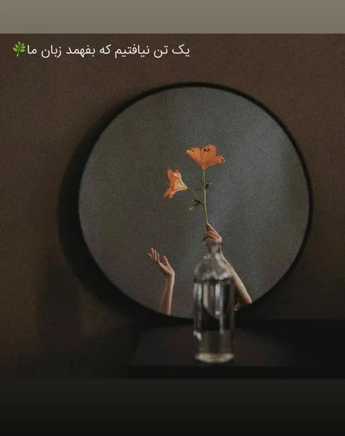 تو نباشی