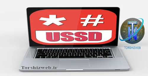 ارائه کد های ussd در ترشیز وب