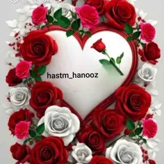 hastm_hanooz 65077431