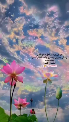 راز شاد بودن در این است که در هر لحظه از عمر از صمیم قلب 