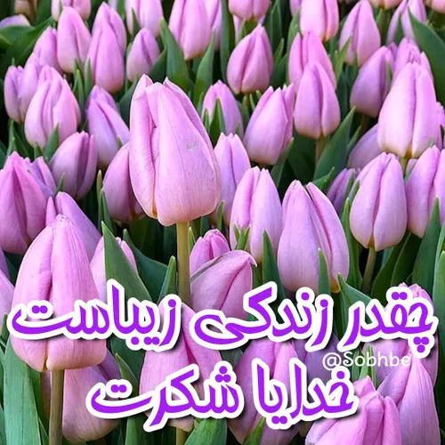 مذهبی fm60 28264500 - عکس ویسگون