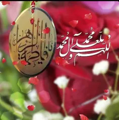 🍃 🌸 برراضیه