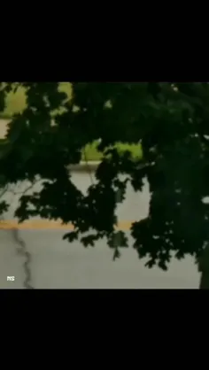 صدای بانو>🌱