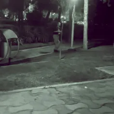 خیانت
