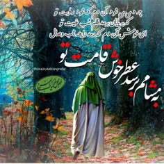 بسم رب الخلق المهدی ارواحنافداه 