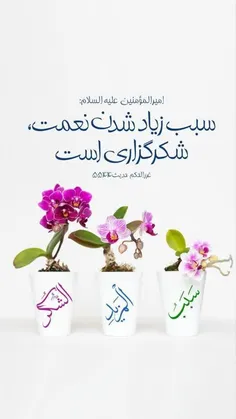 🔅امیرالمؤمنین #امام_علی علیه‌السلام: