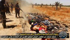 تصاویر جنایات‌ هولناک داعش در صلاح‌الدین عراق
