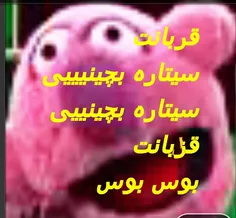 بوس بوس