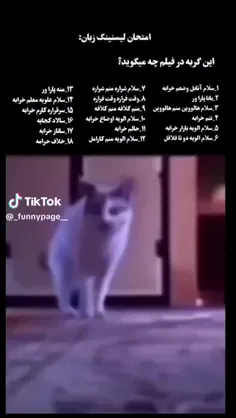 ب اینکه چی میگه کار ندارم ... چرا اینجوری میخزه ؟🗿