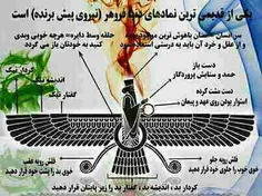 اينم فروهر
