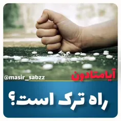 @masir_sabzz.