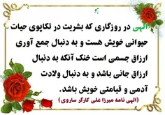 الهی در روزگاری که بشریت در تکاپوی حیات