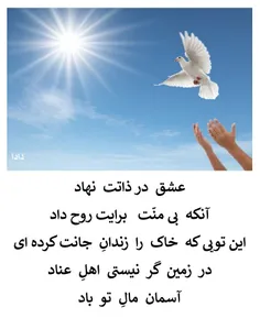 سبک زلال