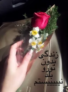 شخصی nafas1312 28391596