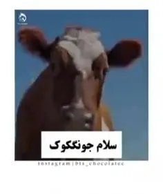 کمپانی جونگکوک😂