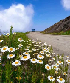 جاده روستایی🙂