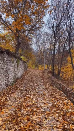 پاییز زیبای خوانسار