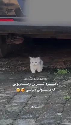 بامزه ترین ویدیو امروز، اختصاص داره به این فرشته کوچولو❤
