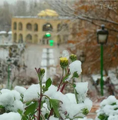 خاصا ایشلردن بیری😍