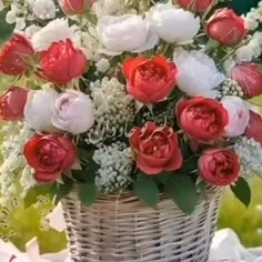 سلام‌ صبحت به زیبایی گل‌ها🌹