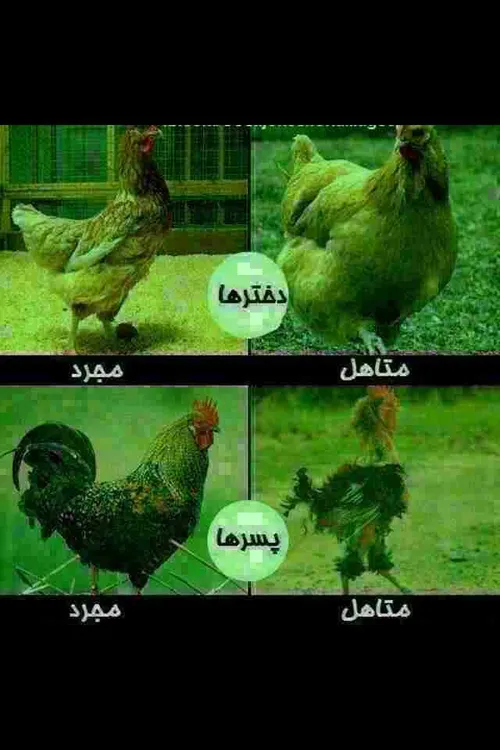 آخر باحاله خداییش