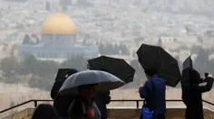 قدس لنا،،چتر سیاه