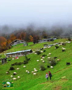 باران که شدی مپرس ، این خانه کیست  