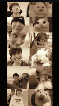 شباهتا ¹⁰⁰ از ¹⁰⁰