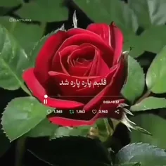 عزیز دل حدیث همیشه بخندغم تو مرگ منه 💖💖💖💖💖💖پس همیشه بخند 