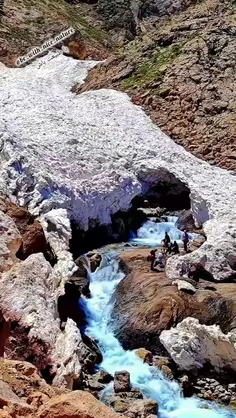 دلتون شاد شاد شاد 😊🌸🩷🌸🩷🌸🩷