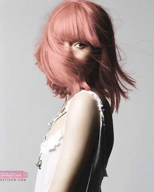 http://satisho.com/the-latest-hair-color-model-for-2019/