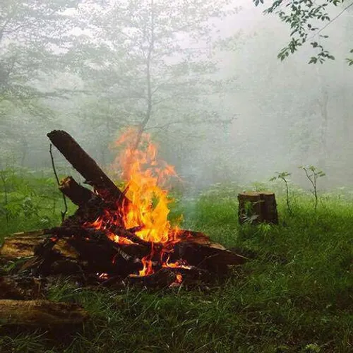 بوی چوب سوخته و چای آتیشی تو یه جنگل با مه و رطوبت بالا