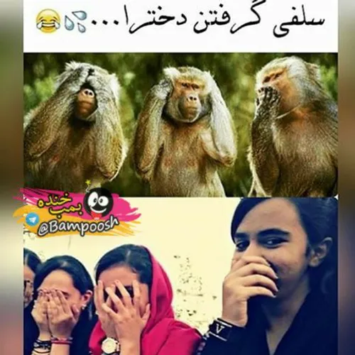 منکه اینجوری نیستم :|