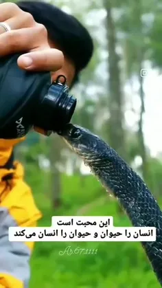 واقعا ک درست