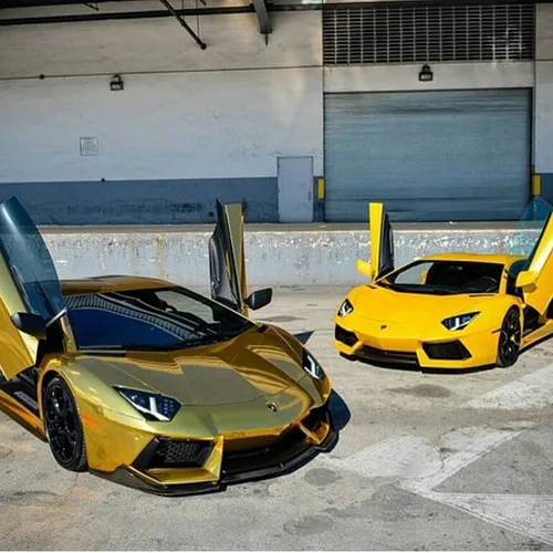 Lamborghini Aventadors