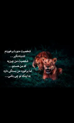 عکس خبری abolfazl_vkili 27978865